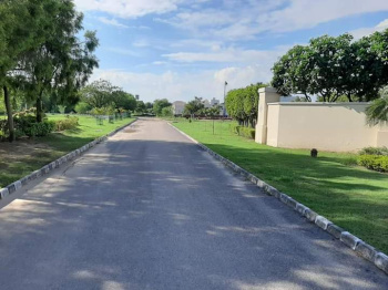 Property for sale in Sector 105 Mohali