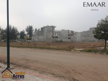 300 Sq. Yards Residential Plot for Sale in Sector 105, Mohali