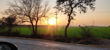 Property for sale in Mullanpur, Mohali