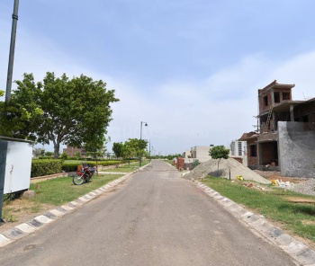 Property for sale in Sector 109 Mohali