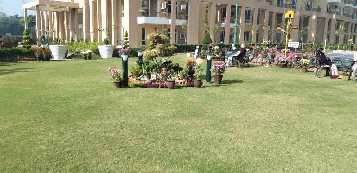 Property for sale in Sector 105 Mohali