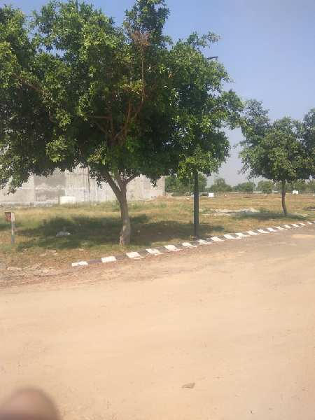 500 Sq Yard Plot For Sale Sector 105 Mohali