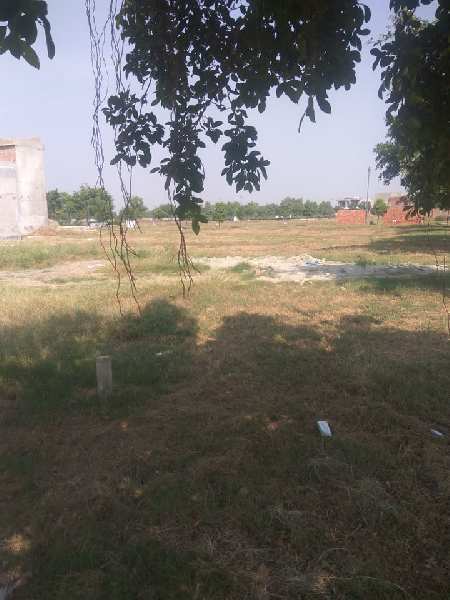 500 sq yard plot for sale sector 105 mohali