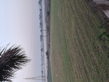 500 Bigha Residential Plot for Sale in Kabilpore, Navsari