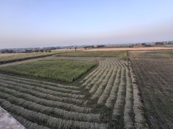 Residential Plot for Sale in Dumas Road, Surat (12000 Sq. Yards)