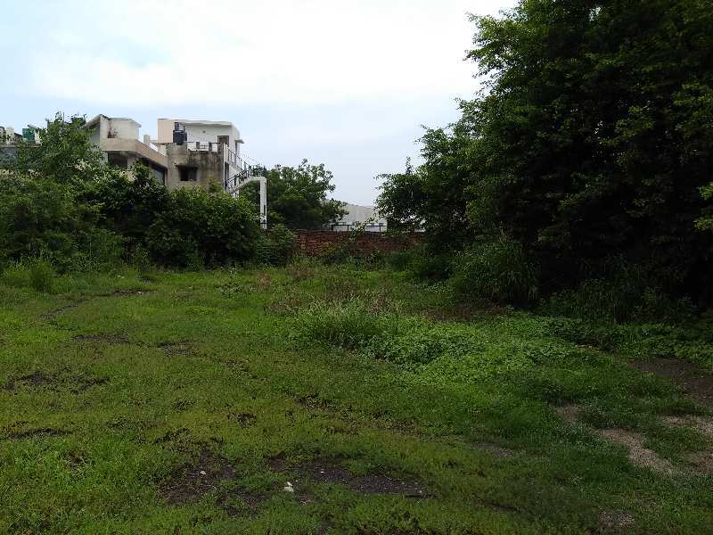 Agricultural land for sale at Sohna