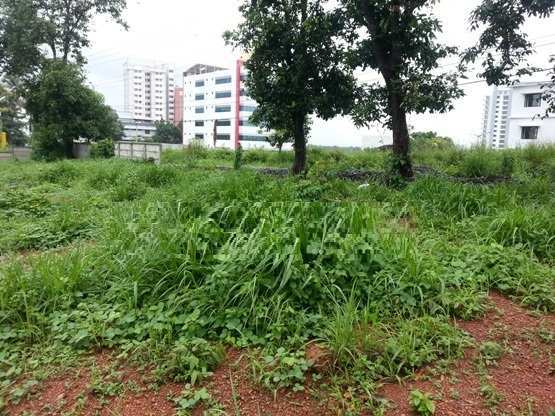 Residential plot for sale at Goa