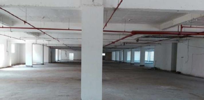 32000 Sq.ft. Factory / Industrial Building for Rent in Sector 81, Noida