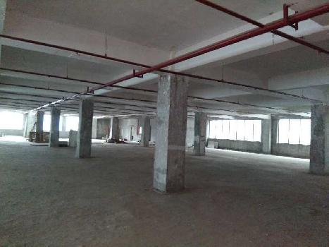 1,70,000 Sq.ft. Factory / Industrial Building for Rent in Manesar, Gurgaon (170000 Sq.ft.)