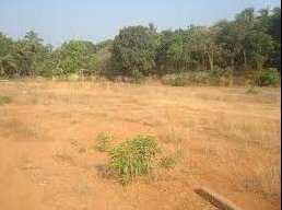 Institutional plot for sale at Greater Noida