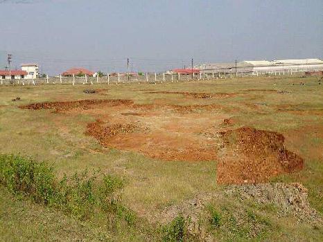 Agriculture land for sale at Pataudi