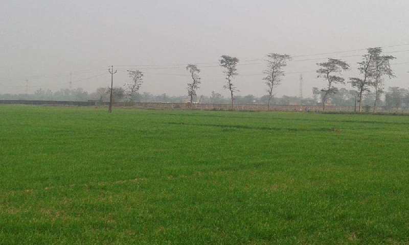 Commercial land for sale at Bahadurgarh