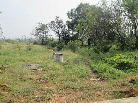 Agriculture land for sale at Bhiwani