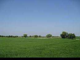 Agriculture land for sale at Bhatinda