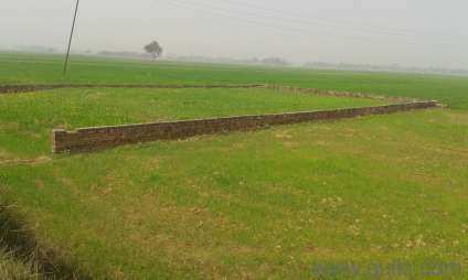 Agriculture land for sale at Kanpur