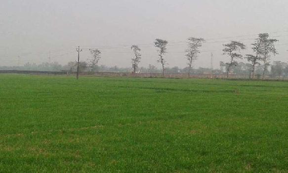 Agriculturre land for sale at Ludhiana