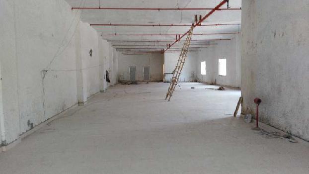 Factory for rent at Sector 18 Gurgaon