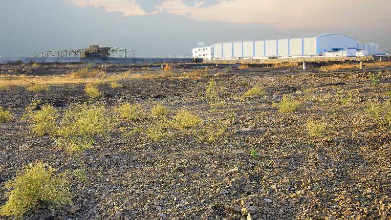 Industrial land for sale at Sector 80 Noida