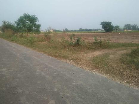 Agricultural/Farm Land for Sale in Banga, Shahid Bhagat Singh Nagar (13 Acre)