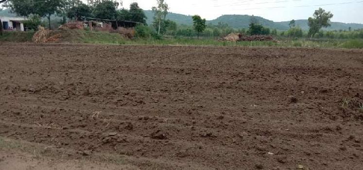 60 Acre Agricultural/Farm Land for Sale in Garhshanker, Hoshiarpur