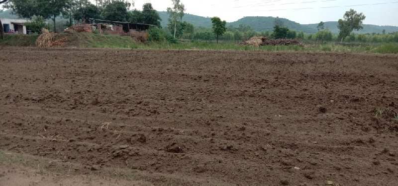 60 Acre Agricultural/Farm Land for Sale in Garhshanker, Hoshiarpur
