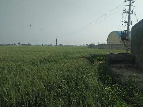 18 Acre Agricultural/Farm Land for Sale in Nawanshahr