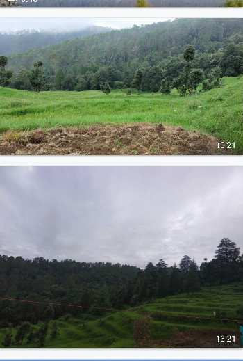 6480000 Sq.ft. Agricultural/Farm Land for Sale in Kausani, Almora