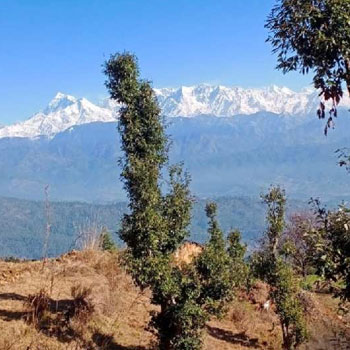 6480000 Sq.ft. Agricultural/Farm Land for Sale in Kausani, Almora