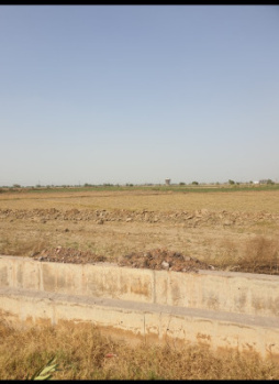 Residential Plot for Sale in Khatu, Sikar