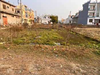 Residential Plot for Sale in Sidcul, Haridwar (1575 Sq.ft.)