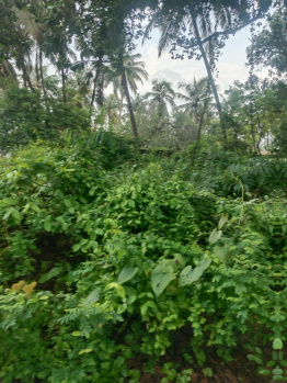 2500 Sq. Meter Commercial Lands /Inst. Land for Sale in Salcete, South Goa, Goa