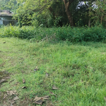 For Sale 2700 sq mtrs Settlement Property with Sanad Touching the Main Road Davarlim, Margao South Goa