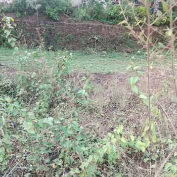 1600m2  Utility Plot for Sale in Verna South Goa