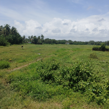 890 sq mtrs Settlement Plot with Sanad for Sale in Dramapur Navellim South Indian