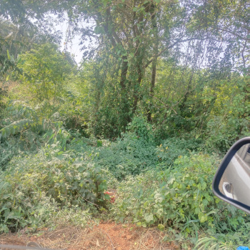 For Sale 6800m2 Plot Touching Highway Nuvem, South Goa