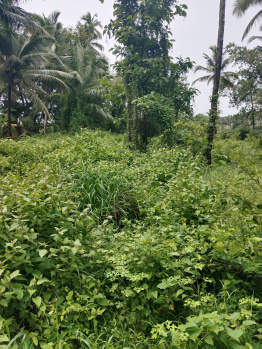 540m2 Plot for Sale in Damolem,Chandor, South Goa