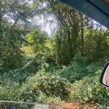 1000m2 Plot for Sale in Dicarpali Rawanfond, South Goa