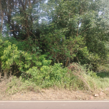 For Sale 280 m2 Plot with Sanad in Borda Margao South Goa Goa