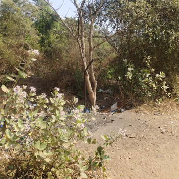 757m2 Settlement Plot for Sale in Near Salgaonkar Hospitality College Manora Raia South Goa