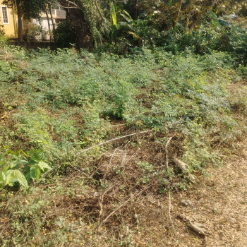 550m2 Settlement Plot for Sale in Paroda Qupem South Goa