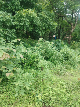 480 mtrs Plot for sale in Borim- Loutalim South Goa