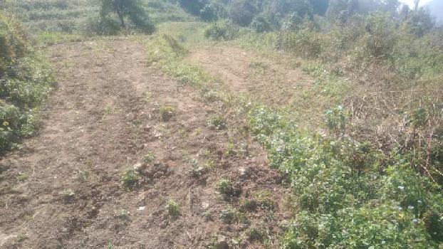 265 Bigha Agricultural/Farm Land for Sale in Mundha Pande, Moradabad