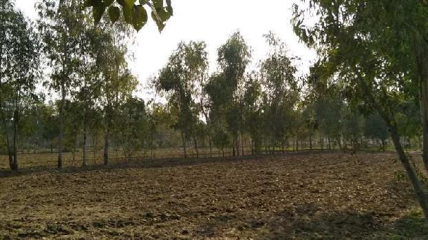 120 Bigha Commercial Lands /Inst. Land for Sale in Moradabad