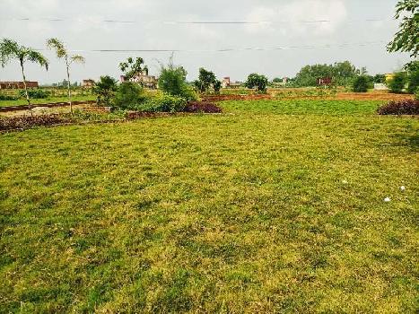 6.5 Bigha Industrial Land / Plot for Sale in Rampur Road, Moradabad