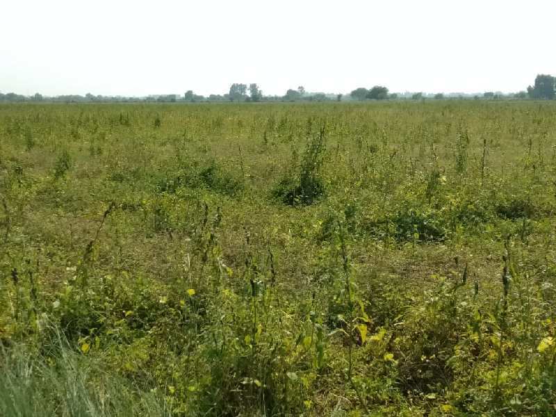 1500 Sq. Yards Industrial Land / Plot for Sale in Moradabad