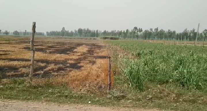 120 Bigha Agricultural/Farm Land for Sale in Garhmukteshwar, Hapur