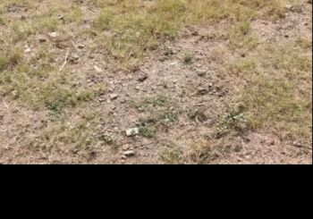 112 Sq. Meter Residential Plot for Sale in Budhi Vihar, Moradabad