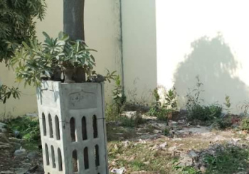40.74 Sq. Meter Residential Plot for Sale in Budhi Vihar, Moradabad