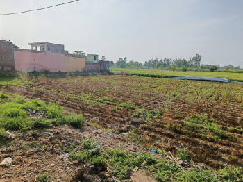 21 Bigha Agricultural/Farm Land for Sale in Uttar Pradesh