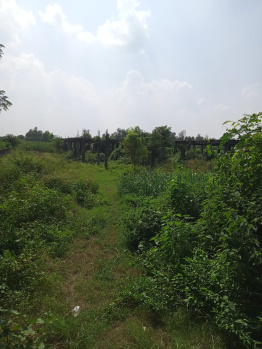 19 Bigha Agricultural/Farm Land for Sale in Kanth Moradabad, Moradabad